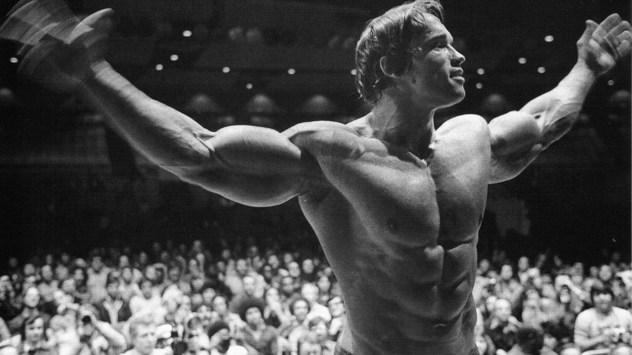 Schwarzenegger Mr. Olympia; Untreue Göttingen, Fremdgehen, Affäre in Göttingen